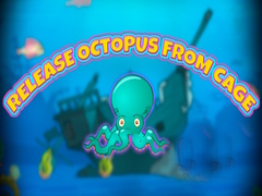 Oyun Release Octopus from Cage
