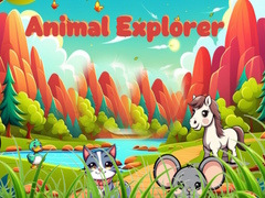 Oyun Animal Explorer 