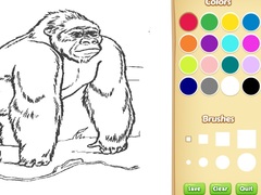 Oyun Zoo Animals Coloring Book for Kids