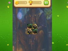 Oyun Magic Druid Memory Match