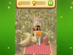 Oyun Farm Cat Memory Match