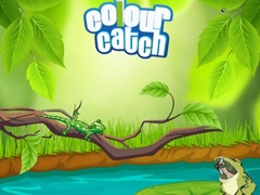 Oyun Colour Catch
