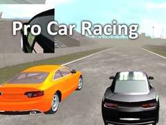 Oyun Pro Car Racing