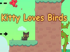Oyun Kitty Loves Birds