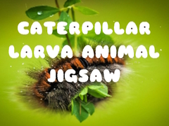 Oyun Caterpillar Larva Animal Jigsaw
