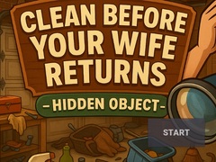 Oyun Clean Before Your Wife Returns Hidden Object
