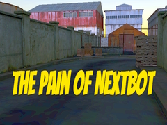 Oyun The Pain of Nextbot