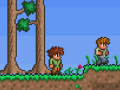 Oyun Terraria Online
