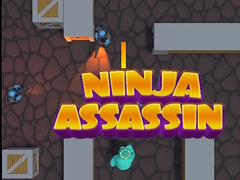 Oyun Ninja Assassin