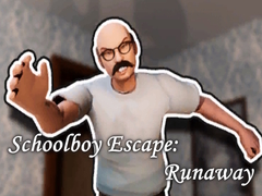 Oyun Schoolboy Escape: Runaway