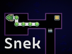 Oyun Snek