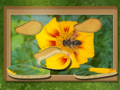 Oyun Find & Restore: Hidden Puzzle