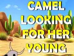 Oyun Camel Looking For Her Young