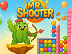 Oyun Mr Shooter