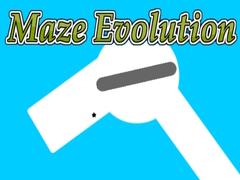 Oyun Maze Evolution