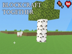 Oyun BlockCraft Together