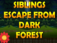 Oyun Siblings Escape From Dark Forest