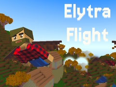 Oyun Elytra Flight
