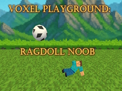 Oyun Voxel Playground: Ragdoll Noob