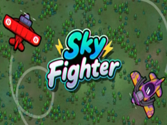 Oyun Sky Fighter
