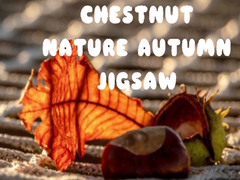 Oyun Chestnut Nature Autumn Jigsaw