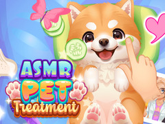 Oyun ASMR Pet Treatment