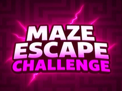 Oyun Maze Escape Challenge