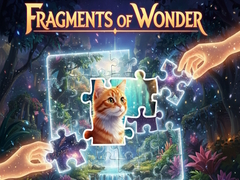 Oyun Fragments of Wonder