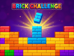 Oyun Brick Challenge
