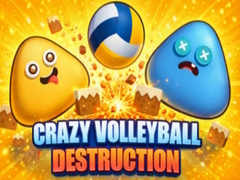 Oyun Crazy Volleyball Destruction