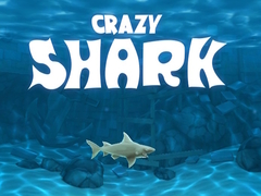 Oyun Crazy Shark