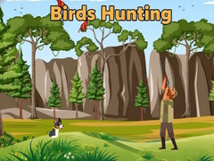 Oyun Birds Hunting