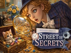 Oyun Hidden Object Street Of Secrets