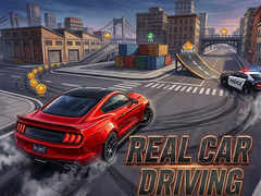 Oyun Real Car Driving