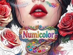 Oyun Numicolor