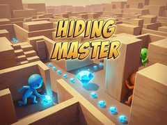 Oyun Hiding Master