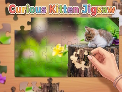 Oyun Curious Kitten Jigsaw