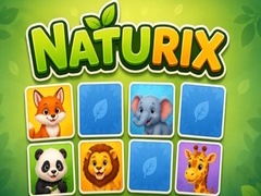 Oyun Naturix
