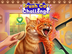 Oyun Brush Cat Challenge 