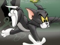 Oyun Tom And Jerry Chase In Marsh