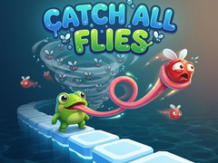 Oyun Catch All Flies