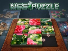 Oyun NGS Puzzle