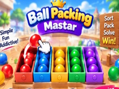 Oyun Packing Master Puzzle