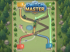 Oyun Switch Master