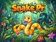 Oyun Snake Pr