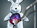 Oyun Save The Bunny