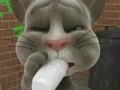 Oyun Talking Tom Cat