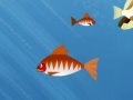 Oyun Hungry Piranha