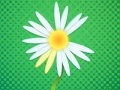 Oyun Daisy petals