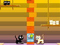 Oyun Swing Cat